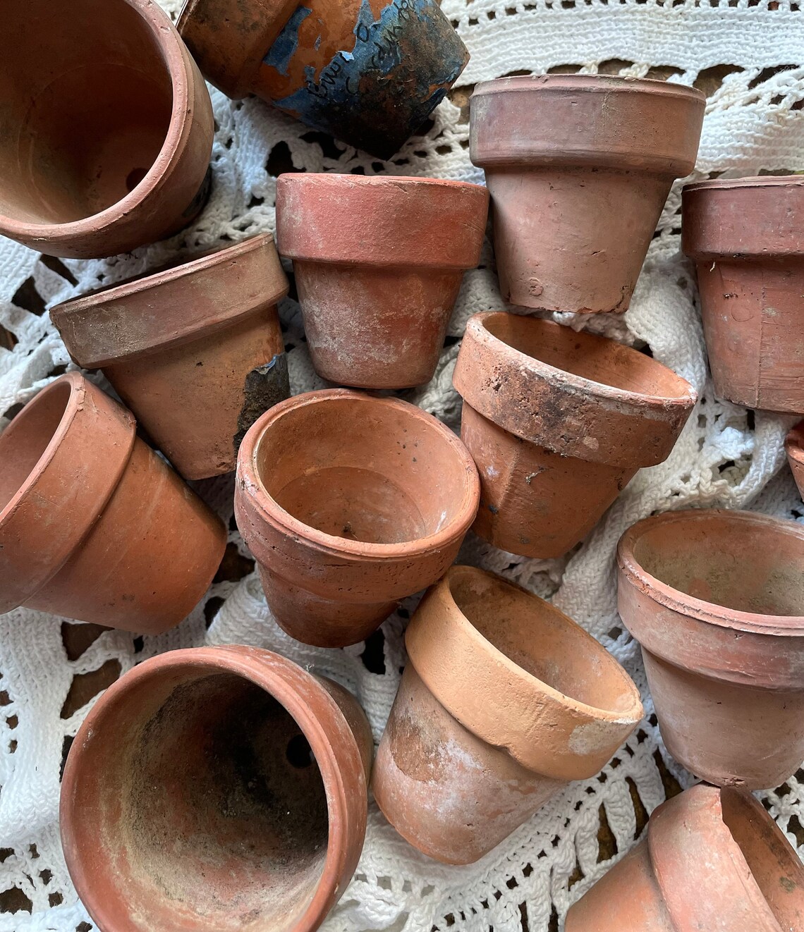 Weathered and Worn Clay Garden Pots A Dozen Small Beauties Etsy