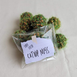 Katzenminze Nugs, Katzenminze Knospen, Katzenminze Nug Spielzeug, Stoner Katzenminze Spielzeug, Lustiges Katzen Spielzeug, Lustiges Stoner Geschenk, Katzenminze Spielzeug, Fuzzy Sparkle Katzenminze Spielzeug
