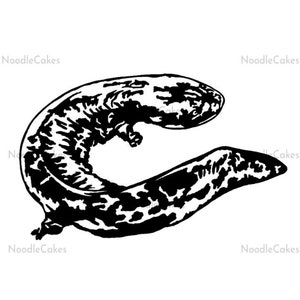 Hellbender Salamander Vinyl Aufkleber, wasserfester Aufkleber