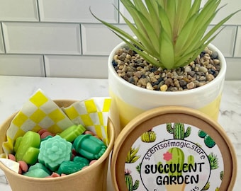 Succulent Soy Wax Melts for Warmer | Pick Your Scent | Perfect Plant Lover Gift