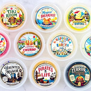Theme Park Inspired Wax Melts For Warmer: Pick 5 Deal | Home Fragrance Gift Under 20