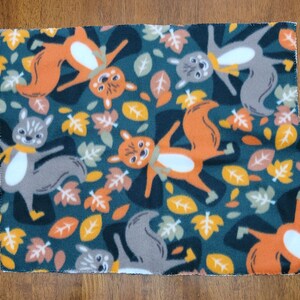 Herbst Eichhörnchen Katze Mat