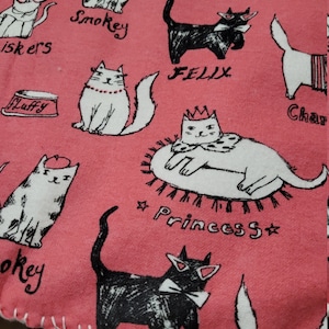Cats with Names Kitten mat