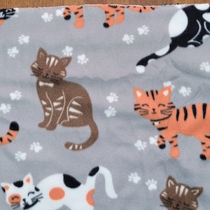 Süße Kätzchen auf grauem Untergrund