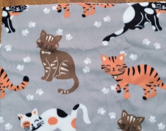 Gattini carini sul tappeto grigio