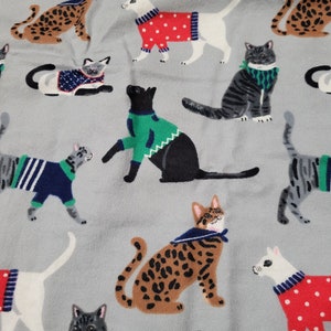 Kitten mat cats with sweaters