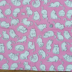 Playful Cat on Pink Kitten Mat