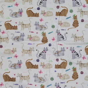 Hübsche Kätzchen auf weißer Katze Matte