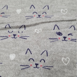 Katzen Gesicht auf grauem Kitten Passepartout