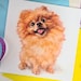 see more listings in the Dogs - Small Cards section