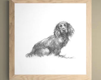 Spaniel Sketch Art Print: Hand-Signed Dog Portrait