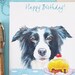 see more listings in the Dogs - Large Cards section