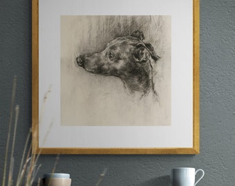 Whippet Print - Greyhound, Sight Hound Print - Whippet, Greyhound, Sighthound Gift - Whippet Art
