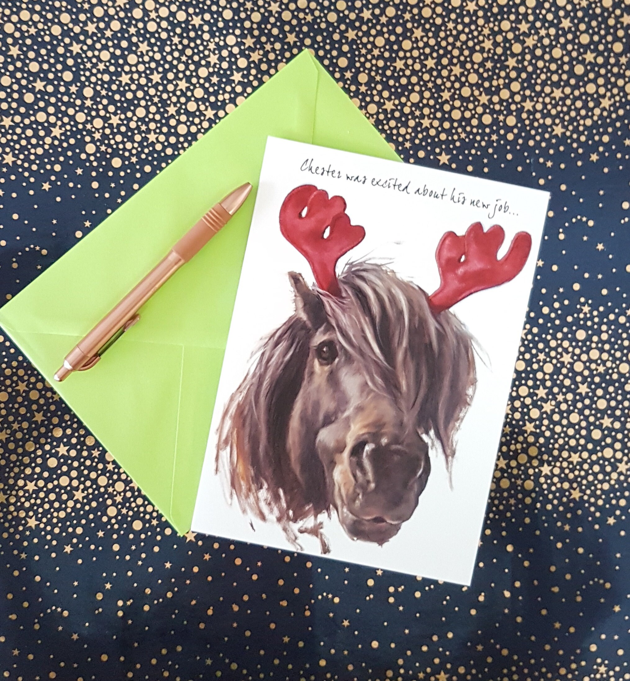 PERSONALISED PONY HORSE CHRISTMAS CARD Personalised illustrated inside too 