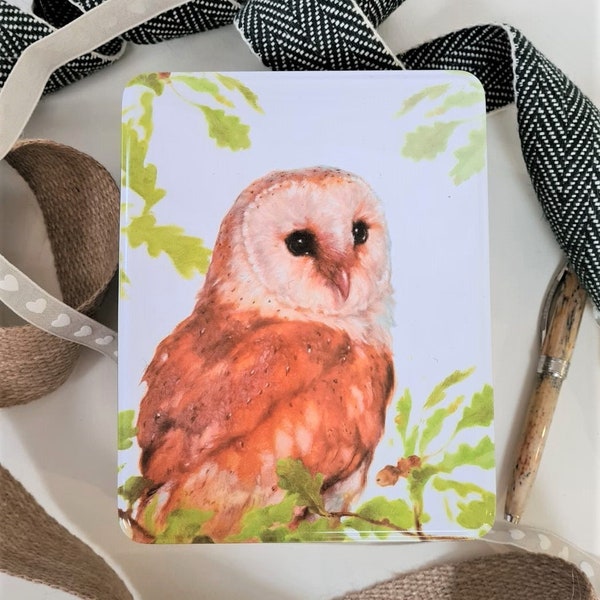 Barn Owl Gift Tin-  Gift- Fathers Day Gift- Wildlife Biscuit Tin - Anniversary Gift - Fathers Day Gift Idea - Hobby Tin - Treat Tin