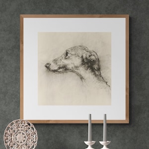 Greyhound Charcoal Sketch Print: Sight Hound Art