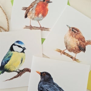 Garden Bird Art Cards and Notelets Card for Him & Her-Garden Bird Notelets Bird Birthday Cards Bird Occasion Cards image 2