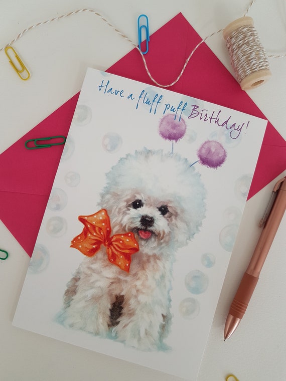 bichon frise birthday cake