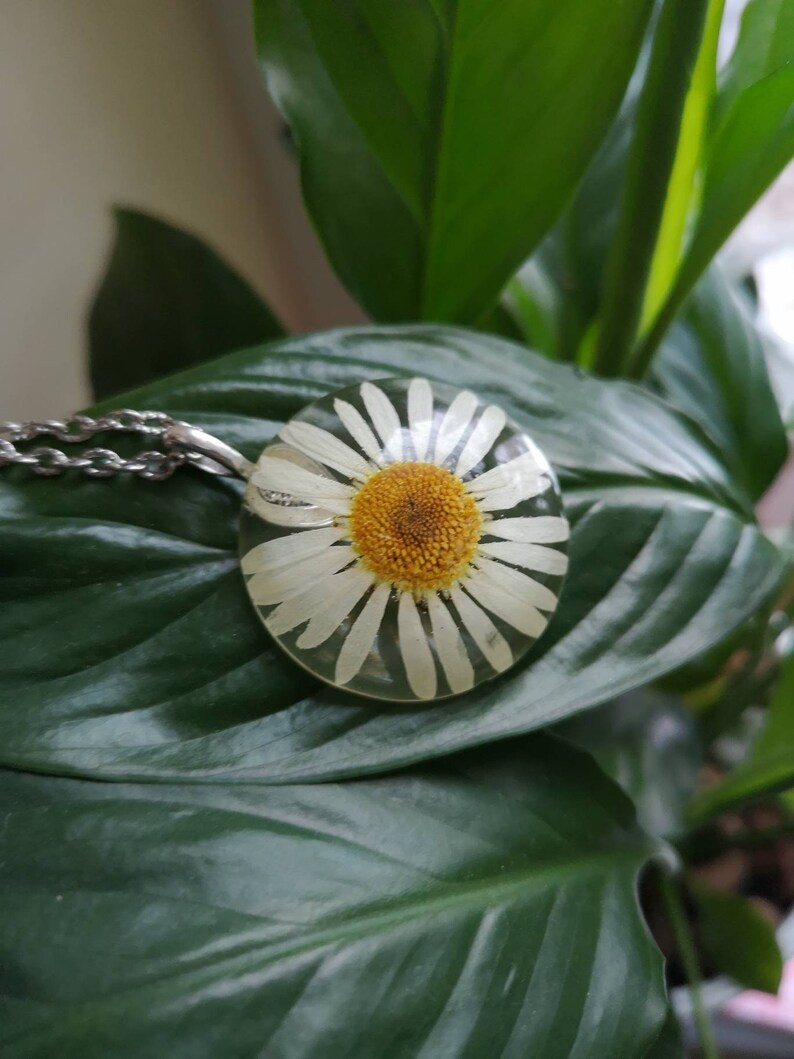 Daisy Terrarium Necklace Real Flower Necklace Pressed Flower Jewelry Sunflower White Daisy Jewelry Bridesmaid Necklace Floral Necklace Glass
