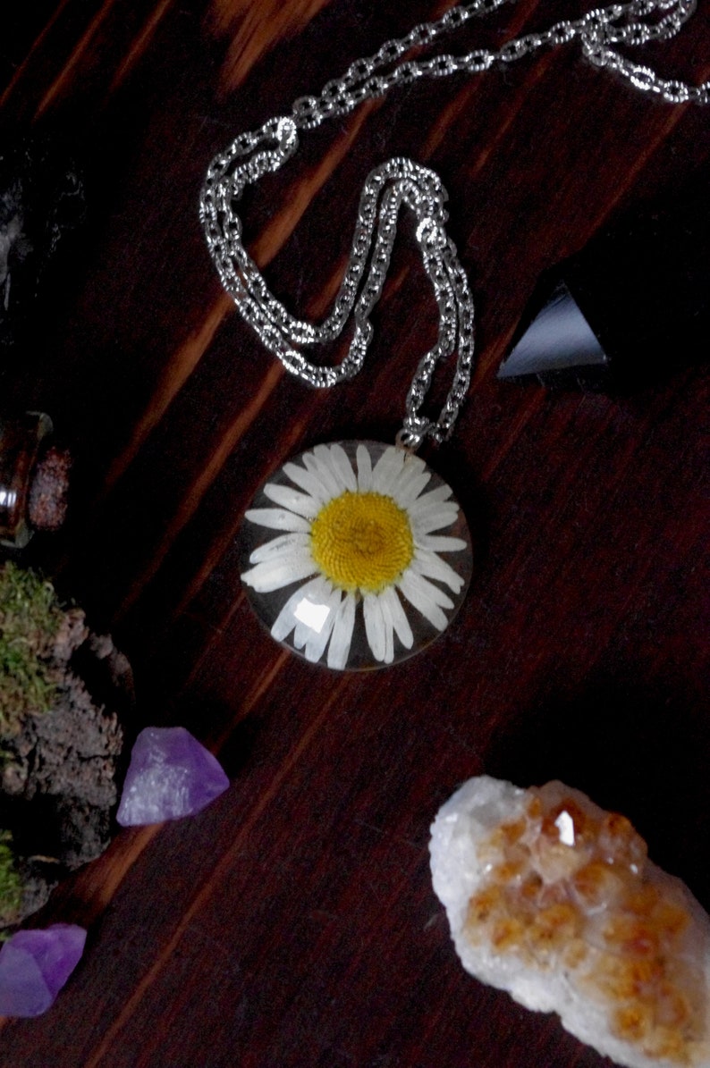 Daisy Terrarium Necklace Real Flower Necklace Pressed Flower Jewelry Sunflower White Daisy Jewelry Bridesmaid Necklace Floral Necklace Glass