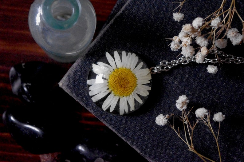 Daisy Terrarium Necklace Real Flower Necklace Pressed Flower Jewelry Sunflower White Daisy Jewelry Bridesmaid Necklace Floral Necklace Glass