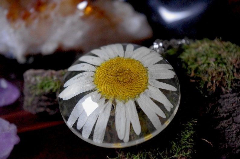 Daisy Terrarium Necklace Real Flower Necklace Pressed Flower Jewelry Sunflower White Daisy Jewelry Bridesmaid Necklace Floral Necklace Glass