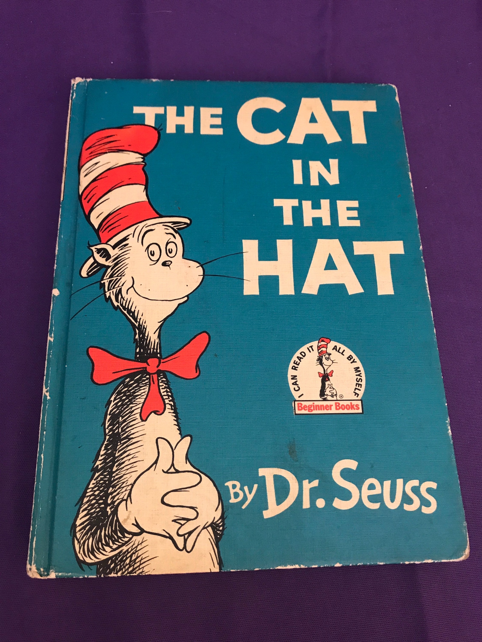 book report on cat in the hat