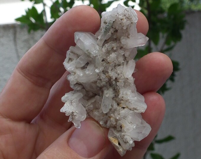 Green Chlorite Quartz Point