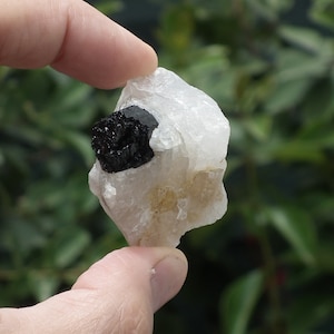 tourmalated quartz //  tourmaline quartz // tourmaline crystal