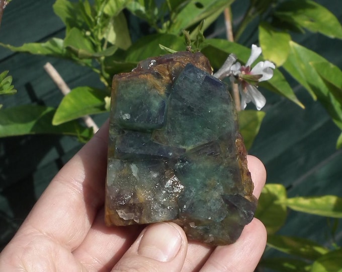 Fluorite crystal // Green fluorite // Cluster cubic