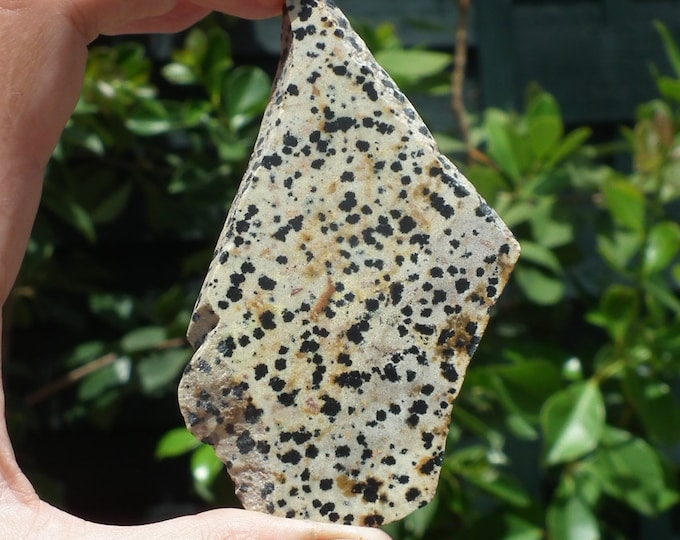 Dalmatian jasper Slab