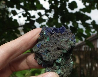 Azurite in Malachite