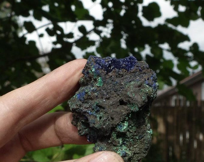 Azurite in Malachite
