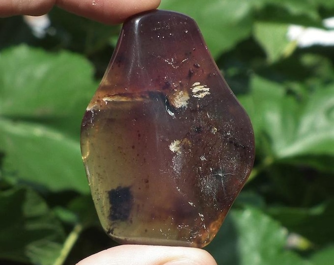 Polished sumatra amber