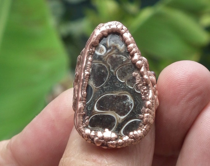 Electroformed  Copper  Turritella agate ring