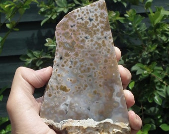Ocean jasper Slab