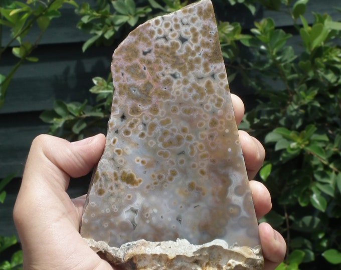Ocean jasper Slab