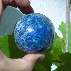 May include: A polished, spherical lapis lazuli gemstone. The deep blue stone features white and gold flecks, held in a hand. Green leaves and a white wall are in the background.
