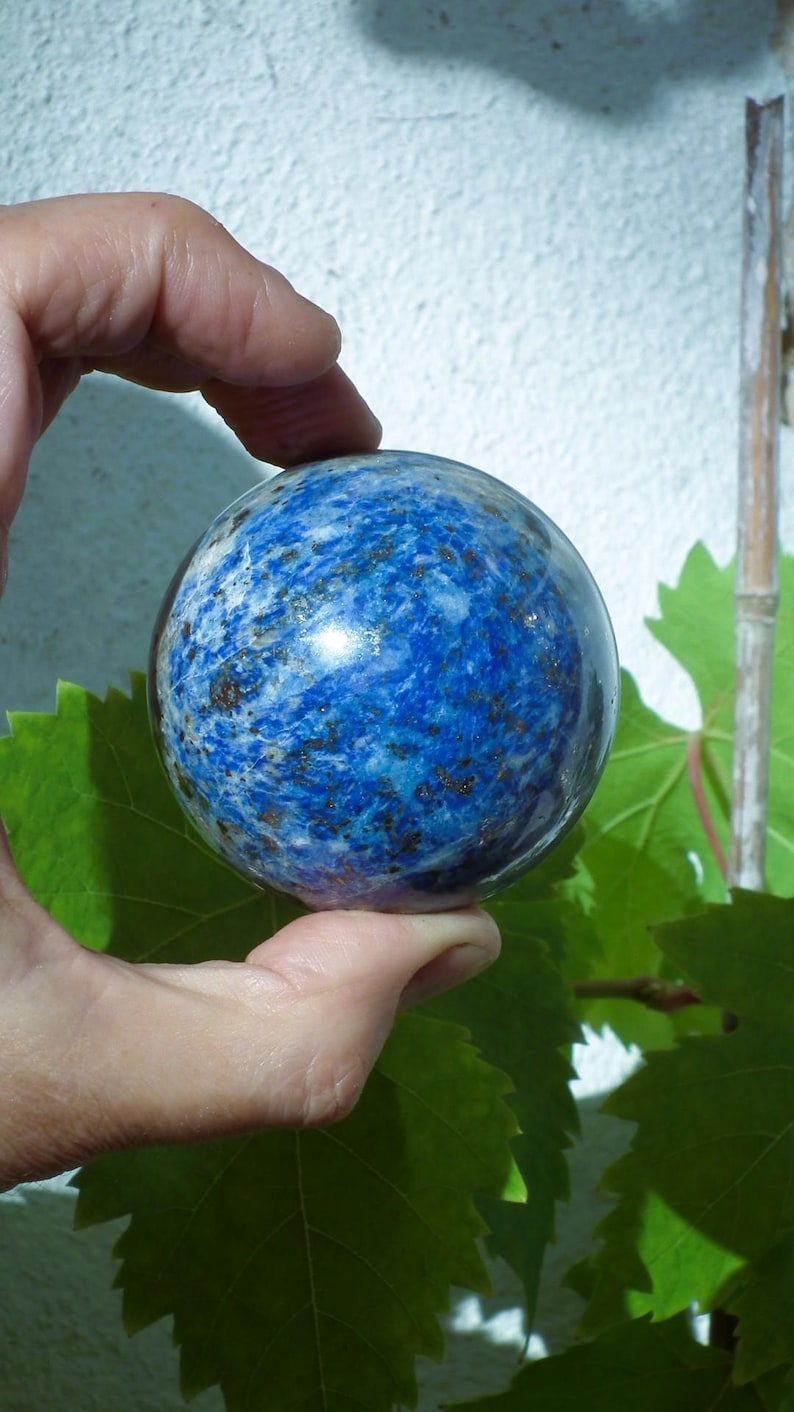 May include: A polished, spherical lapis lazuli gemstone. The deep blue stone features white and gold flecks, held in a hand. Green leaves and a white wall are in the background.