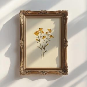 Può includere: Una stampa incorniciata di un'illustrazione botanica che presenta un gruppo di fiori gialli con steli e foglie verdi su uno sfondo crema.