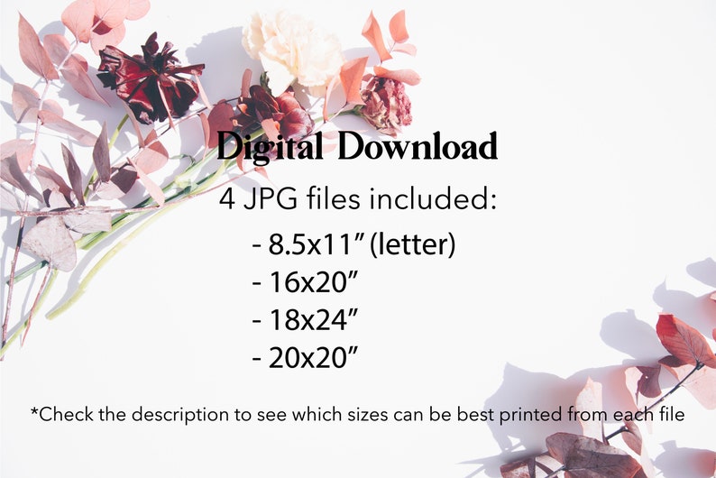 以下が含まれることがあります： 花の配置の4つのJPGファイルのデジタルダウンロード。サイズは8.5x11インチ（レター）、16x20インチ、18x24インチ、20x20インチです。画像は、ピンクと赤の花が咲く白い背景です。