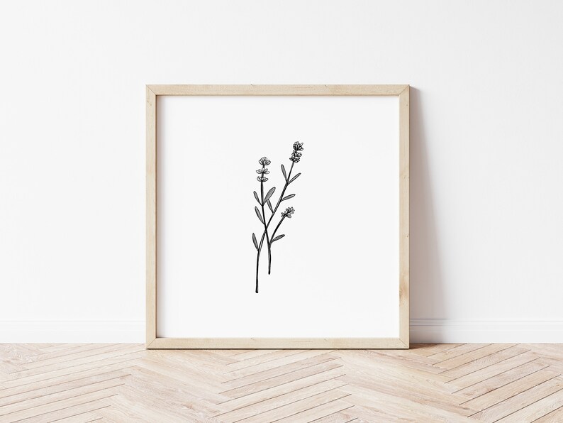May include: A black and white line drawing of a sprig of lavender flowers in a simple wooden frame.