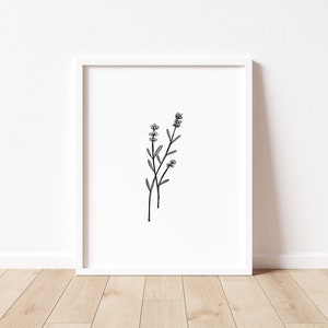 May include: A black and white line drawing of a sprig of lavender with three flower buds.