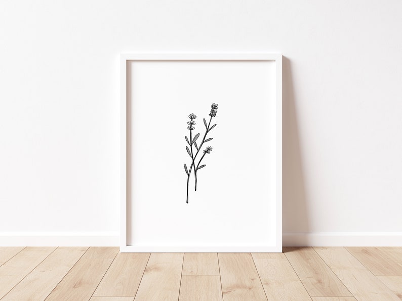 May include: A black and white line drawing of a sprig of lavender with three flower buds.