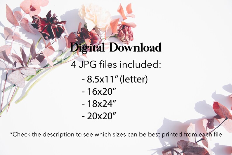May include: Digital download of 4 JPG files of floral arrangements in various sizes: 8.5x11 inches (letter), 16x20 inches, 18x24 inches, and 20x20 inches. The image shows a white background with pink and red flowers.