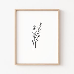 May include: A black and white line drawing of a lavender plant in a light wood frame.