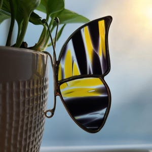 May include: A stained glass butterfly decoration with yellow, black, and white wing patterns. The butterfly is attached to a plant pot with a metal wire. The wings are outlined in a dark color.