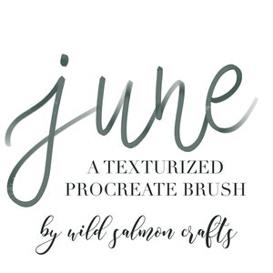 May include: A textured Procreate brush called "June" by Wild Salmon Crafts.