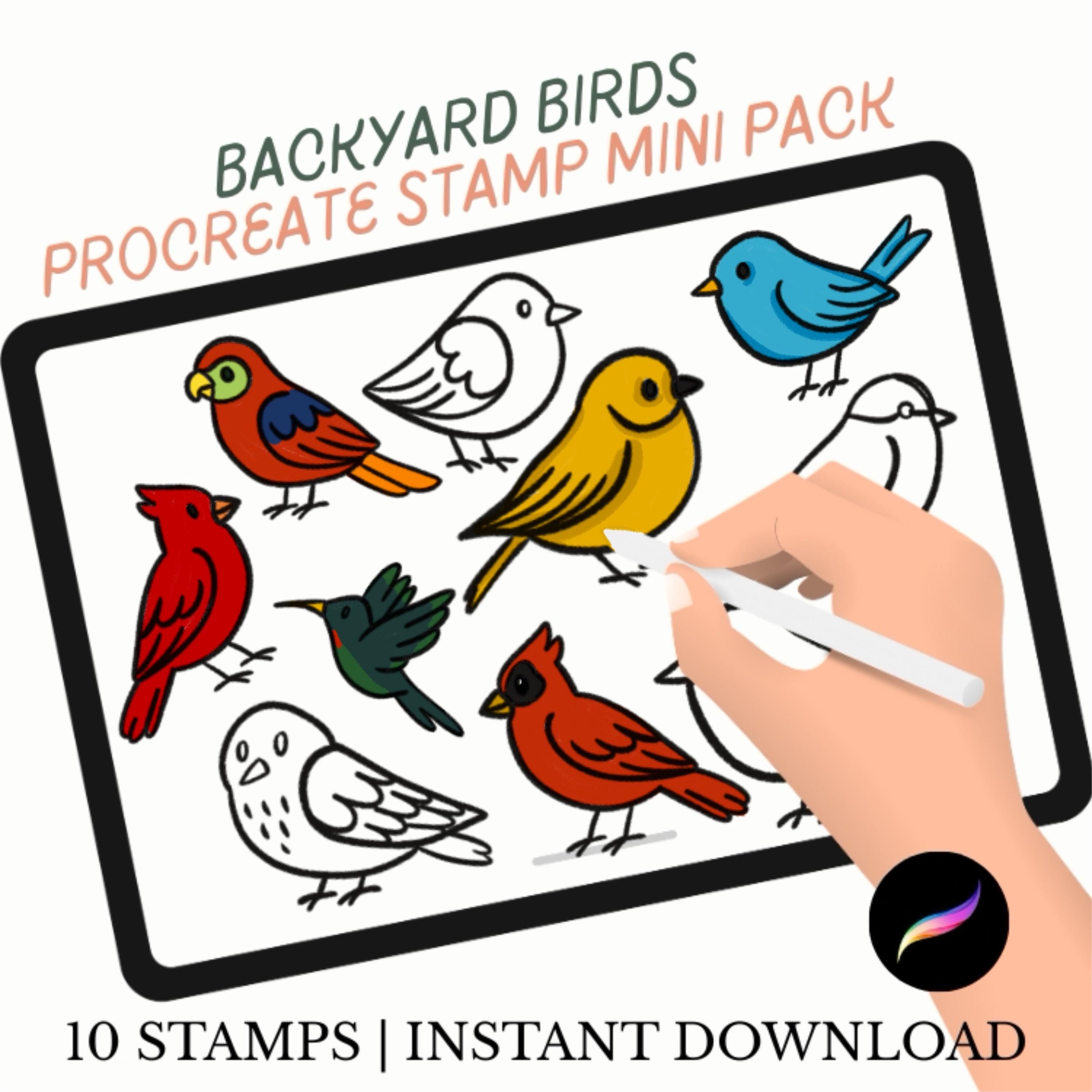 Paquete de pinceles sello para Procreate Aves del jardín | Aves cantoras, búho, loro, cardenal ilustrados a mano | Descarga instantánea