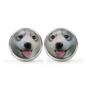 Husky Dog Picture Earrings: Stainless Steel Studs (12mm)